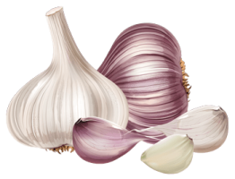 garlic.png